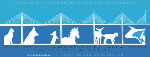 Clinique Vétérinaire des Grands Causses