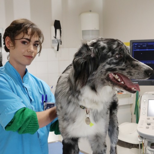 Claire Ruiz-Huidobro